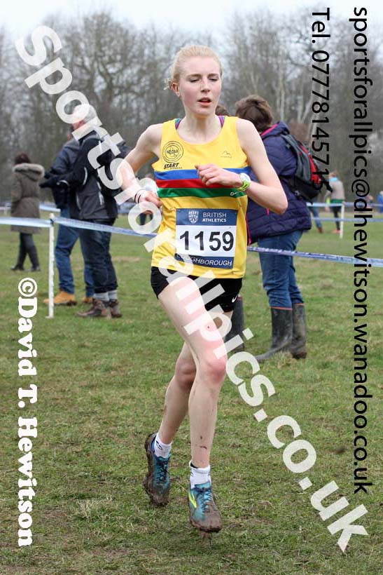 Senior womens Inter Counties Cross Country, Prestwold Hall, Loughborough. Photo: David T. Hewitson/Sports for All Pics